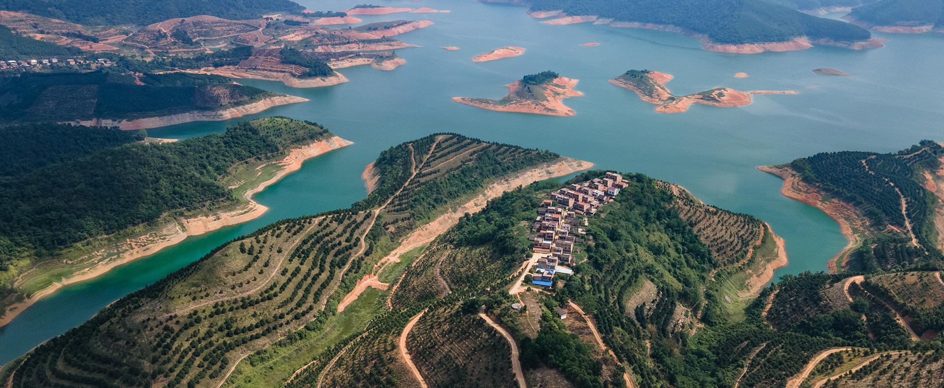 洽洽广西百色坚果原料种植基地